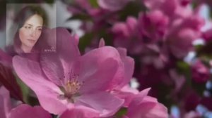 Катюша. Композитор — Матвей Блантер, автор слов — Михаил Исаковский.