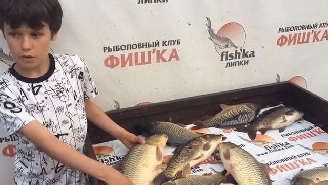 Мальчик рассказывает , как ловить карпа. смотреть онлайн