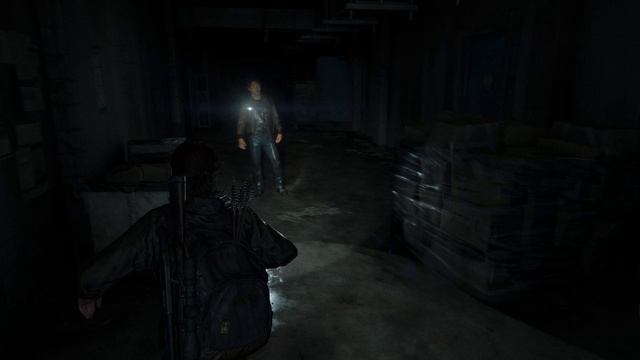 ALeXXX_Doma InGame: The Last of Us Part II Remastered # 11