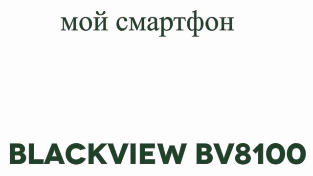 BV8100