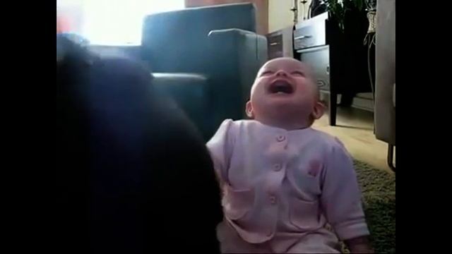 РЭП АДВОКАТА КРАВЧЕНКО. "Апелляционный суд". Вольнянский юмор и сатира. смотреть онлайн