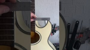 Чем отличается washburn ea 40 от washburn ea 20?