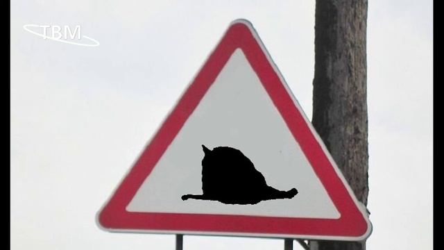 Смешные уличные знаки: 2 серия смотреть онлайн