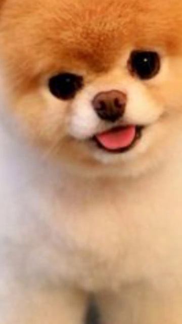 19 лютого 2023 р. смотреть онлайн