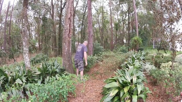 (1275) Америка. СУББОТНИК НА НАШЕЙ ФАЗЕНДЕ - БЭКЪЯРДЕ) Natalya Falcone . смотреть онлайн