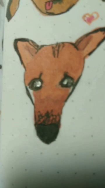 смешные собаки:) кто милее и смешнее коты или собаки?🐈🐕 смотреть онлайн