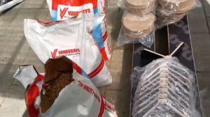 Что я купил с Бельгийской выставки. Цены и обзор. Голубевод Sergej Peters. Tauben/ Голуби / Pigeons