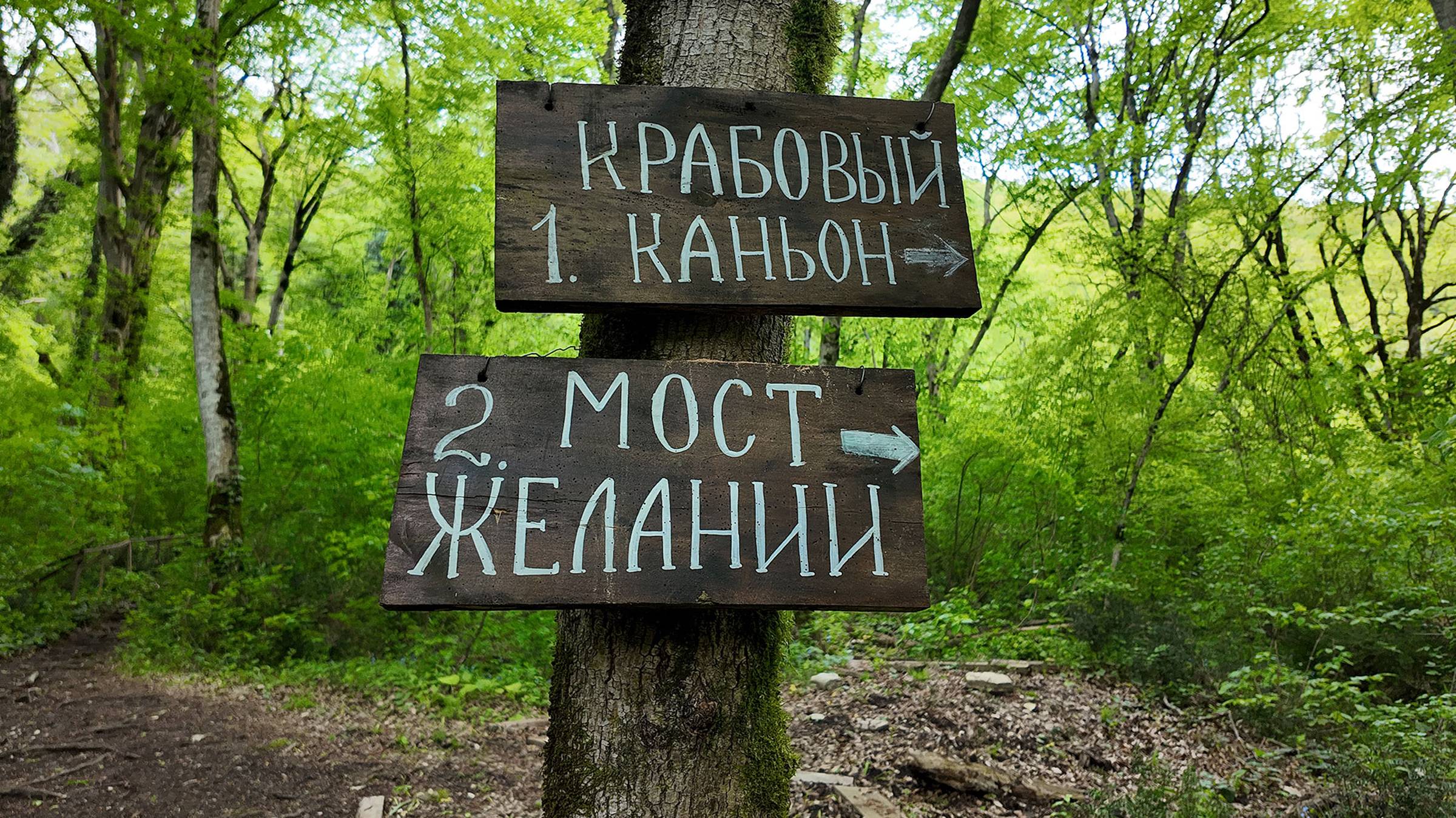 Москва, Сочи 2025. Крабовое ущелье. Мост желаний. Лазаревское. Впечатления.(04.25г.)Семья Бровченко смотреть онлайн