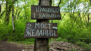 Москва, Сочи 2025. Крабовое ущелье. Мост желаний. Лазаревское. Впечатления.(04.25г.)Семья Бровченко