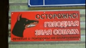 Цыпленок Пи  Испанская версия