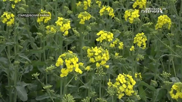 «События недели» от 22 мая 2021 года смотреть онлайн