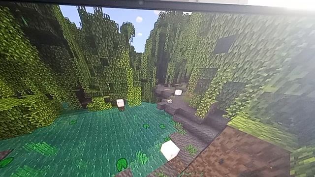 Mangrove Champ Relax Minecraft Video