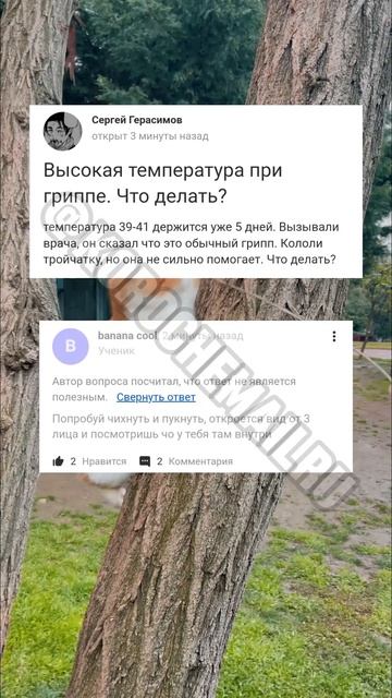 Короче, ответы mailRu🫡Часть 12 #mailru #смешно #забавно #приколы #мем #майлру #youtubeshorts смотреть онлайн