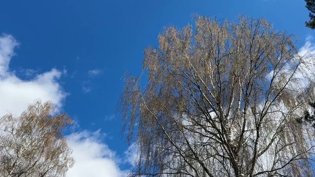 Живая открытка №53.  Смотри и отдыхай.