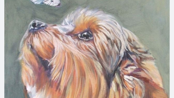 Хахахаха 😆😆 😅🤣😁👍😂🌹🐕