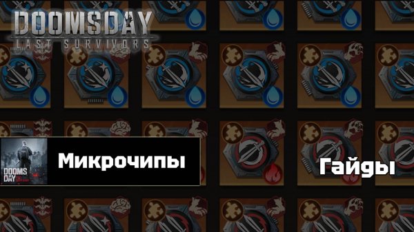 Doomsday last survivors - Чипы. Инструкция по применению.