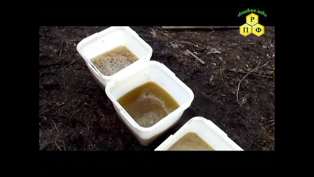 Медовый сироп после вымочки срезков забруса смотреть онлайн