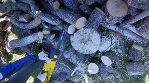 пилим брёвна электрической пилой.mp4