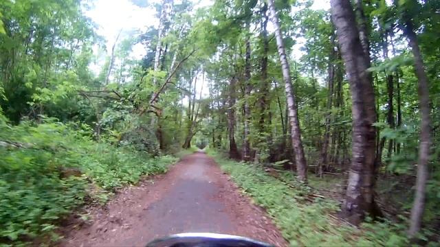 вело прогулка в парке Лосиный остров-biking in the park moose island moscow смотреть онлайн