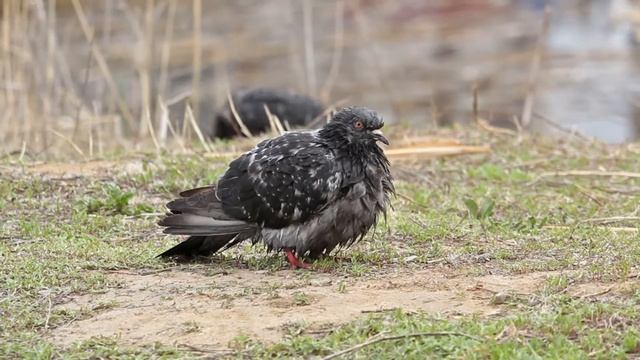 Больше хорошего смотреть онлайн