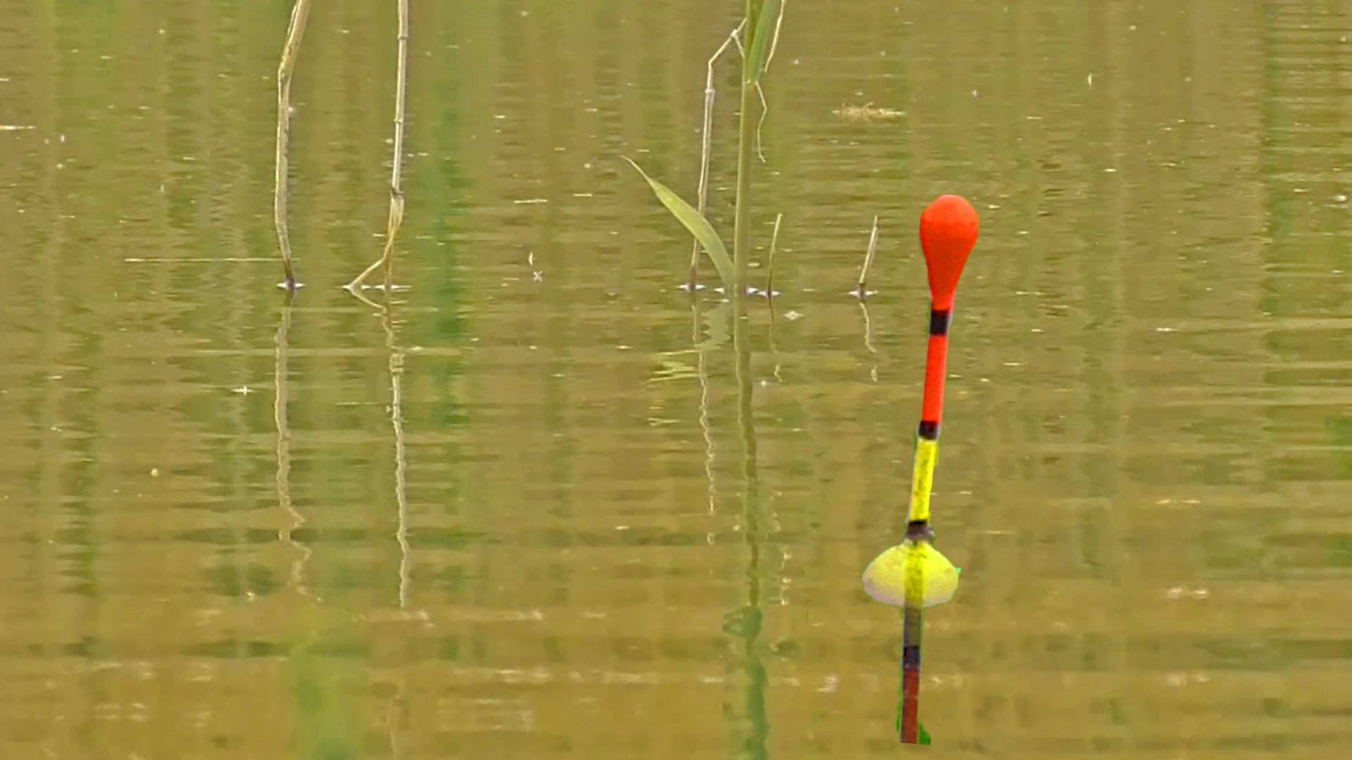 ВЕРНУЛСЯ НА ПРУД, СНОВА СЮРПРИЗ! ЛОВЛЮ НА ПОПЛАВОЧНУЮ УДОЧКУ! Рыбалка на поплавок на карася с берега смотреть онлайн