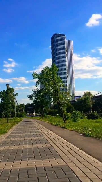 Время прогулки. #шпиц #июнь