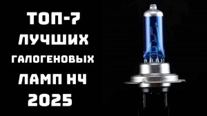 🔝ТОП-7 Лучших галогеновых ламп H4 2024 года💡 Рейтинг H4 ламп🚗 Купить галогеновые лампы H4💥