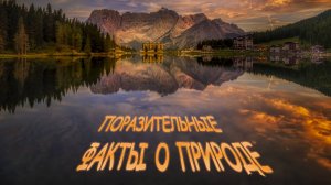 Удивительные факты интересное и познавательное