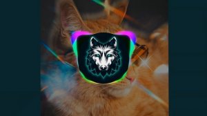 Симбочка - Тот Самый Кот