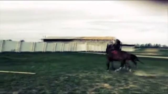 Конный спорт   (Created With @Magisto)