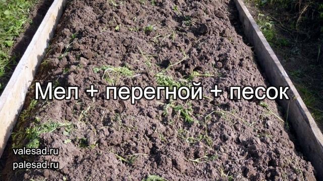 ОБЯЗАТЕЛЬНО СДЕЛАЙТЕ ЭТО ПРИ ПОСАДКЕ ЛУКА ВЕСНОЙ ДЛЯ ОТЛИЧНОГО УРОЖАЯ! смотреть онлайн