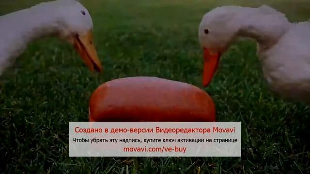 Слышь Ты чё такая дерзкая ! А ! Прикол