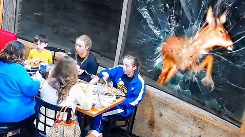 Необычные случаи сняты камерой😂🤣 смотреть онлайн