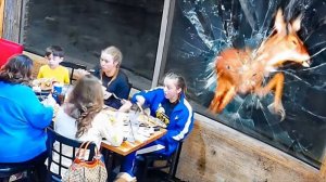 Необычные случаи сняты камерой😂🤣