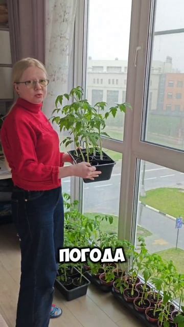 Вы успели купить теплицу к майским праздникам?