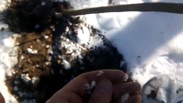 Копаем зимой!Снег не помеха смотреть онлайн
