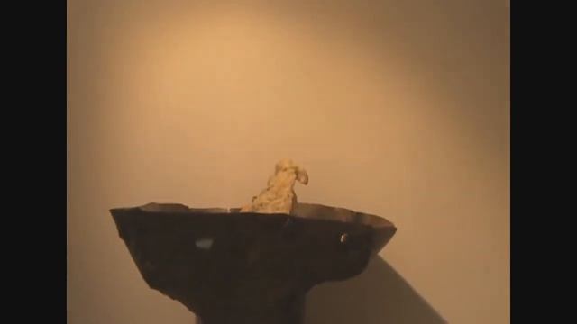 Выставка Феминизм смотреть онлайн