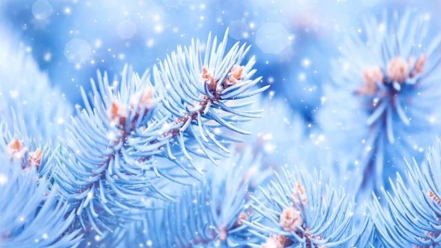 Зимний узор смотреть онлайн