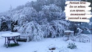 Уютная дача: Его не ждали, а он пришел, аномальный снегопад в мае.