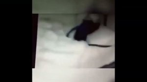 Ержан, вставай на работу пора.