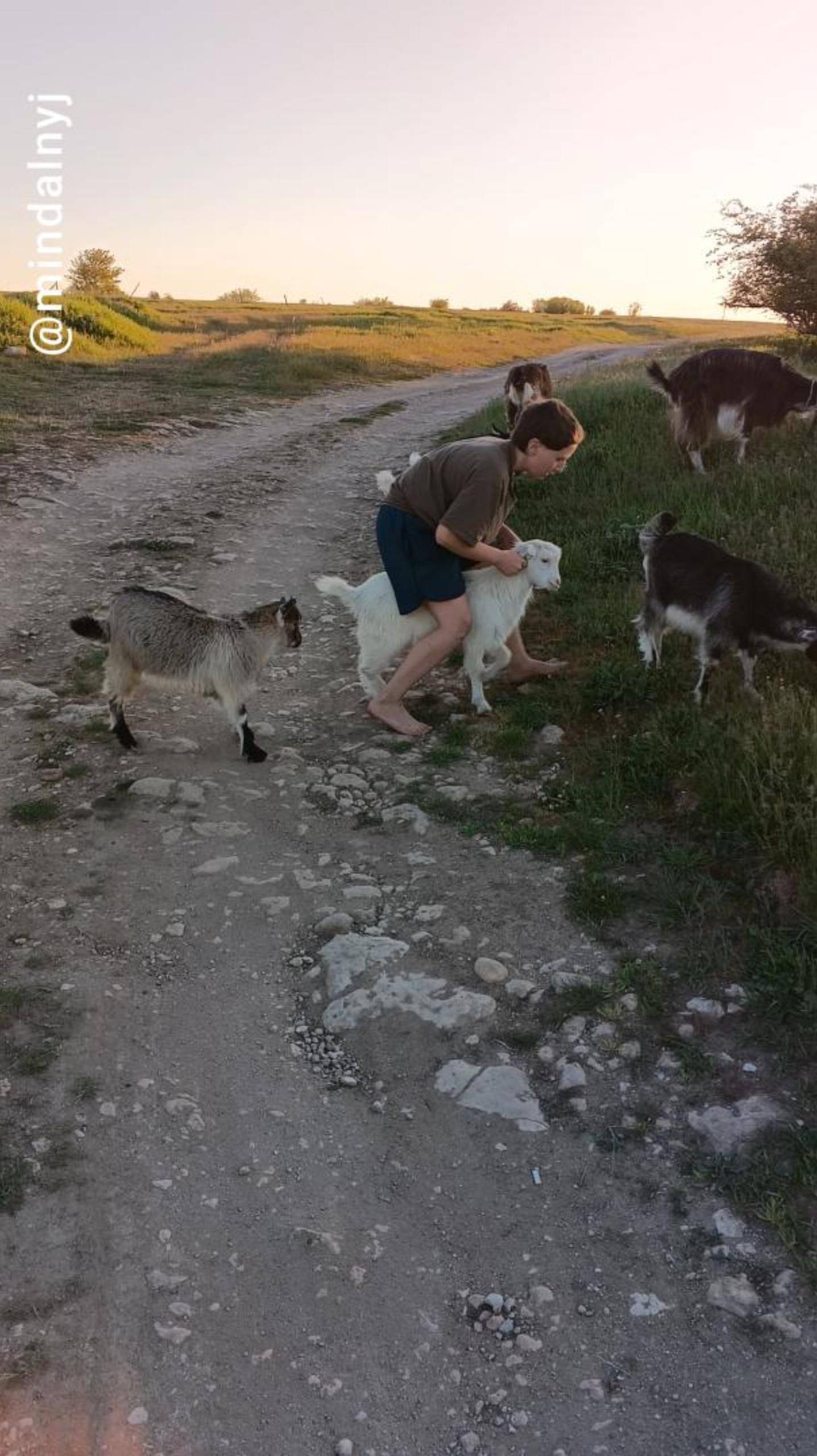 Верхом на козе ) смотреть онлайн