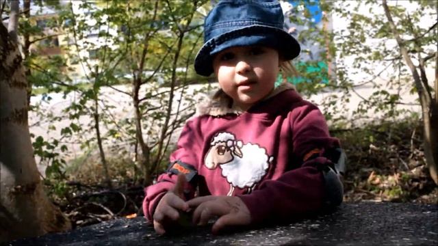Lustiges Familienvideo * Прикольный семейный ролик смотреть онлайн
