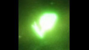 Doors "Viribis light" UST