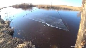 Порыбачили на паук,порвал все удочки.