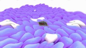 Samsung Logo Balls Effects VS Round 1 with Megan Woodmansee (AVS Version)