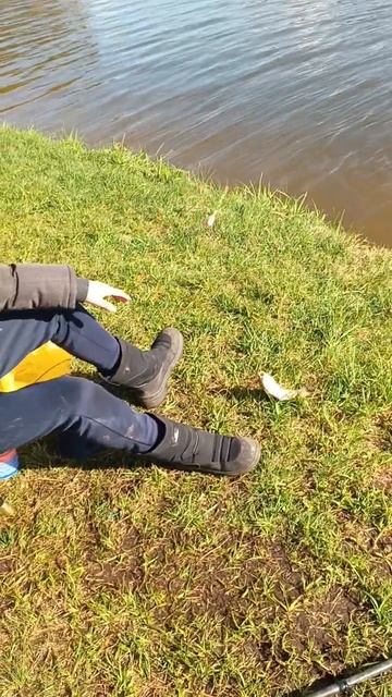 ЛОВЛЮ КАРПА НА ПЛАТНИКЕ ,ОЗЕРО КАЛИНИН