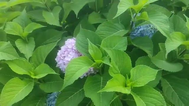 Вяжем с Nilena Sans кусочек лета смотреть онлайн