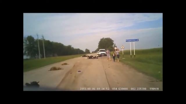 Водитель автобуса задавил стадо коров! смотреть онлайн