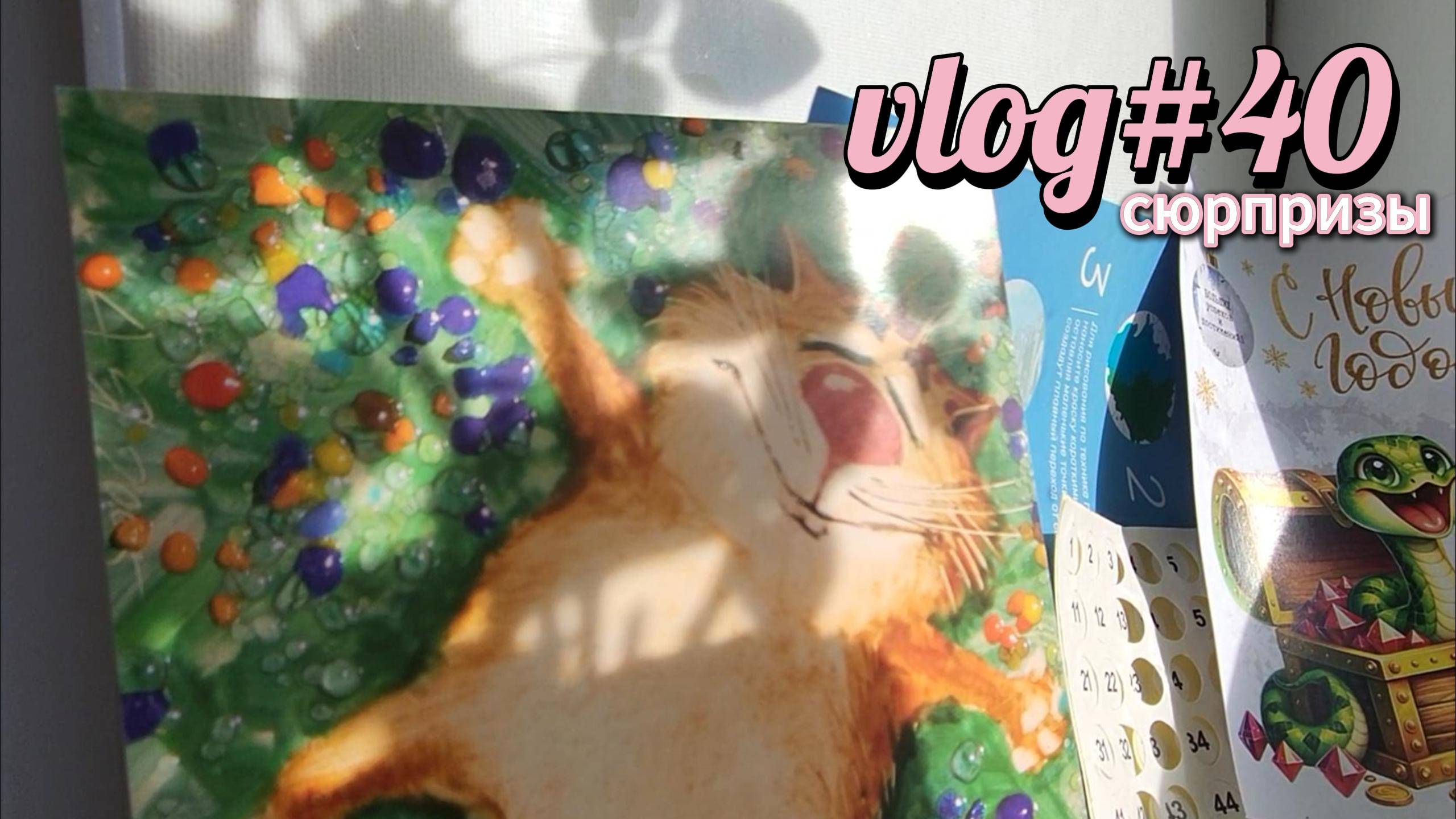 vlog#40 сюрпризы от друзей и погоды, перестановки в доме
