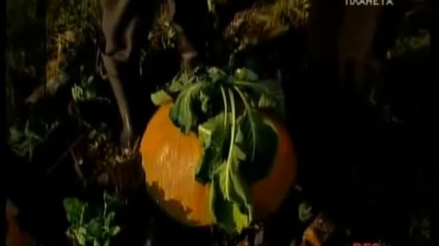 Городок  - 2008  - эпизод 22  -  как наше слово отзовется